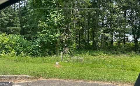 0 Hwy 54, Sharpsburg, GA 30277