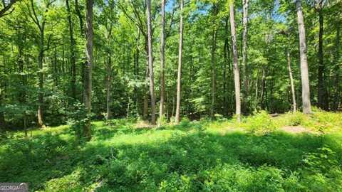 134 Cicero, Dawsonville, GA 30534
