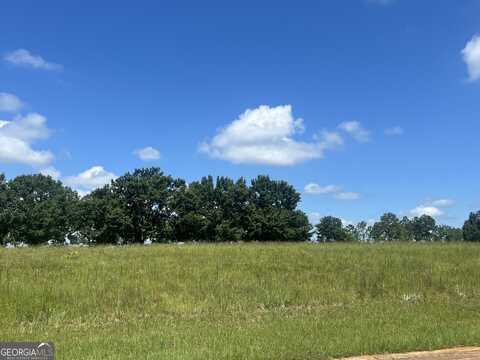 24 Camden Way, Hawkinsville, GA 31036