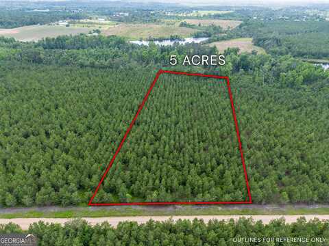 Tract 9 Sanderling, Alma, GA 31510