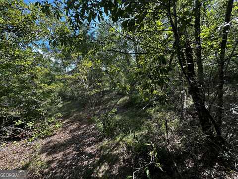 1787 Buddy Johnson, East Dublin, GA 31027