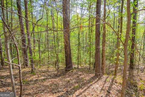 0 Lake Esther, Fairburn, GA 30213