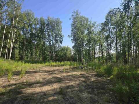 260 BRIGHTON DRIVE, Fairbanks, AK 99712