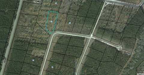 00 (lot 23) Satilla Plantation Road, Waynesville, GA 31566