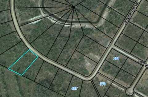 Lot 28 Dixie Plantation, Waynesville, GA 31566