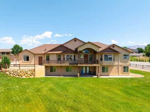 1005 Pritchard Mesa Court, Grand Junction, CO 81505