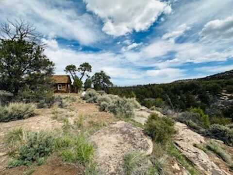 4511 S 16 1/2 Road, Glade Park, CO 81523