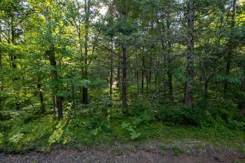 Lot 14 DADS LAKE RD, Eagle River, WI 54521