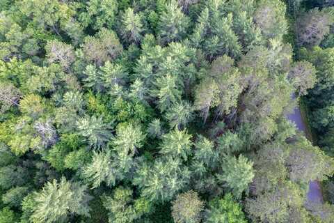 Lot 4 DADS LAKE RD, Eagle River, WI 54521
