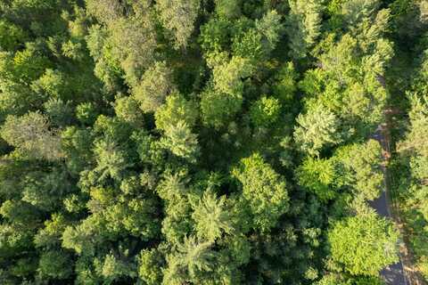 Lot 21 DADS LAKE RD, Eagle River, WI 54521