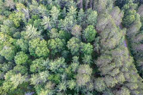 Lot 16 DADS LAKE RD, Eagle River, WI 54521