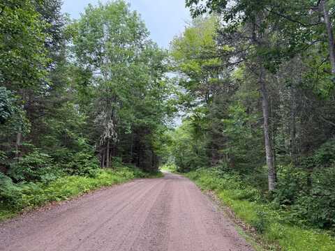 On STEELE RD, Harshaw, WI 54529
