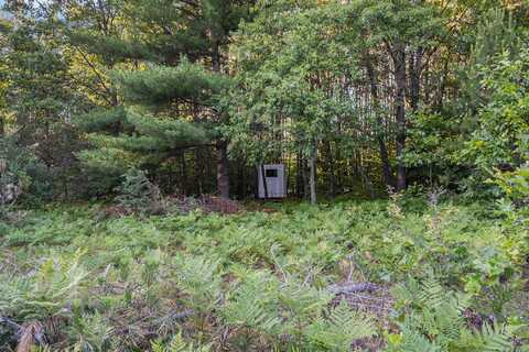 3289 N Felch Avenue, White Cloud, MI 49349