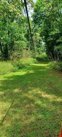 Collier Avenue, Battle Creek, MI 49017