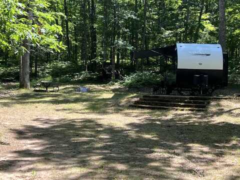 8913 W Toma Trail, Irons, MI 49644