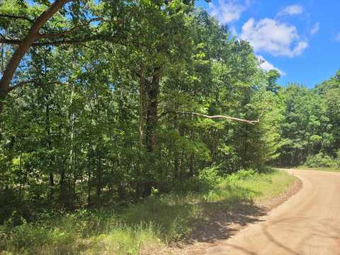 Vl Round Lake Drive, Fennville, MI 49408