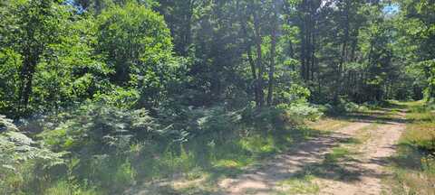 0 Chicago Avenue, Idlewild, MI 49642