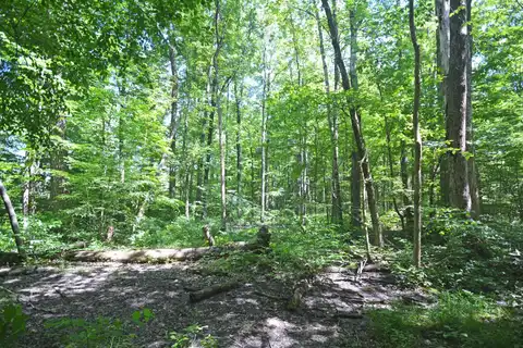 52251 17th Avenue, Grand Junction, MI 49056