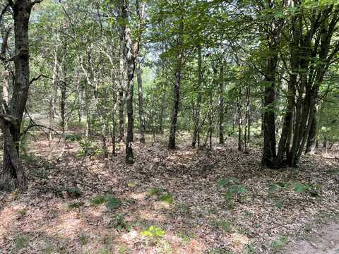 Ewing Road, Holton, MI 49425