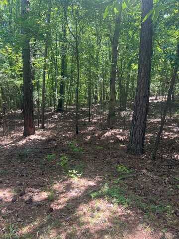 000 Main St, Ware Shoals, SC 29692