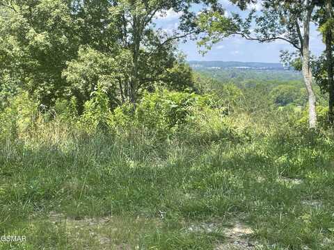 Lot 2 King Estates Road, Sevierville, TN 37876