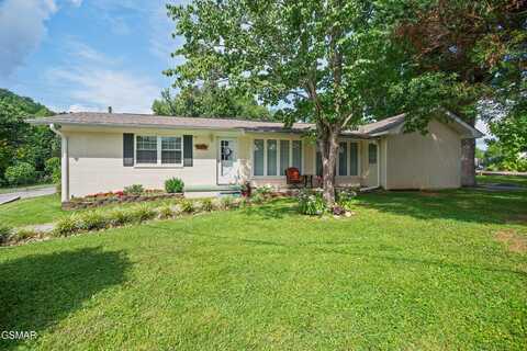 8454 State Hwy 73, Townsend, TN 37882
