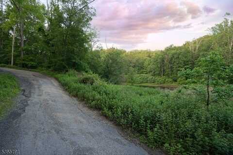 5 Meadow Cliff Ln, Hardwick Twp., NJ 07825