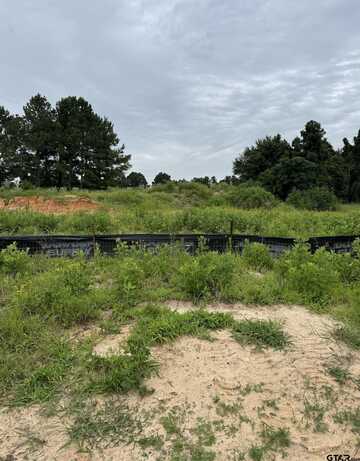11223 CR 166, Tyler, TX 75703