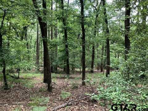 300301 Misty Glen Lane, Holly Lake Ranch, TX 75765