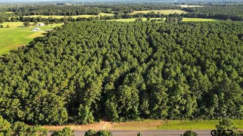 TBD 17 ACRES FM 2274, Troup, TX 75789