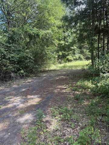 550 Whip O Will, Gilmer, TX 75645