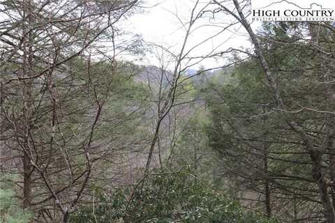 Lot 29 & 30 N Hidden Mountain Lane, Crumpler, NC 28617