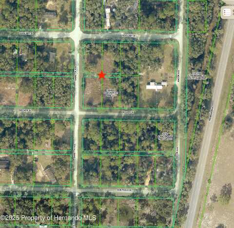 Goolsby Street, Webster, FL 33597