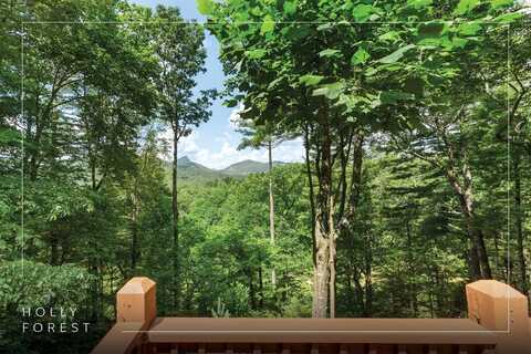 576 Blackberry Trail, Sapphire, NC 28774