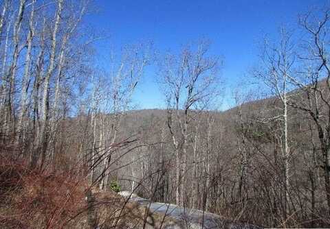 Lot 33 Spikemoss Road, Sapphire, NC 28774