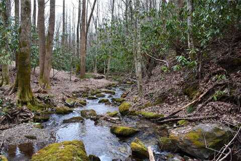 Lot N Speckled Feather Pass, Sapphire, NC 28774