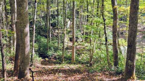 Lot S Speckled Feather Pass, Sapphire, NC 28774
