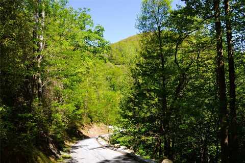 Lot 19 Speckled Feather Pass, Sapphire, NC 28774