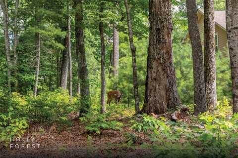 Lot 4 Laurel Drive, Sapphire, NC 28774