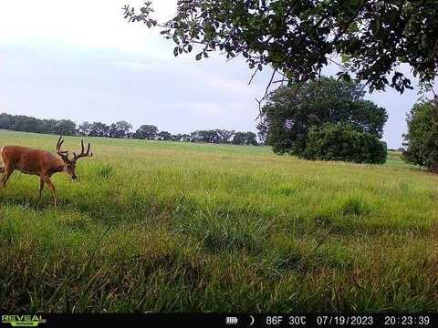 195th Street, Fort Scott, KS 66701