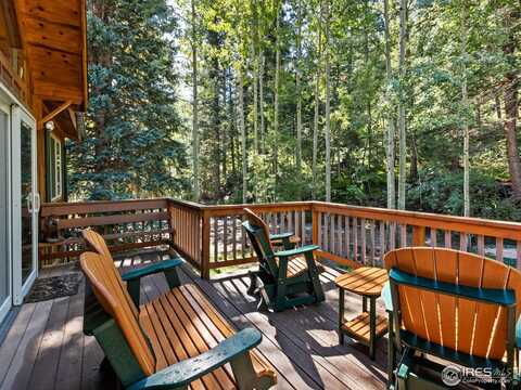 1035 Streamside Dr, Glen Haven, CO 80532