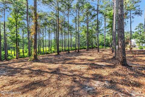 218 Alderman Landing Road, Holly Ridge, NC 28445