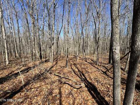 Veterans Lookout, Wilder, TN 38589