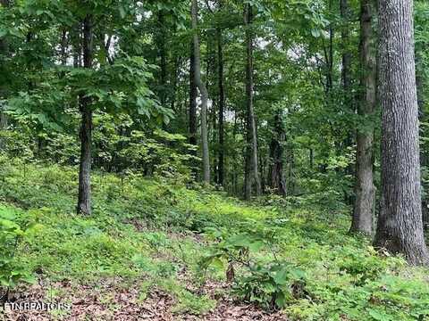 506 Grande Vista Drive, Rockwood, TN 37854