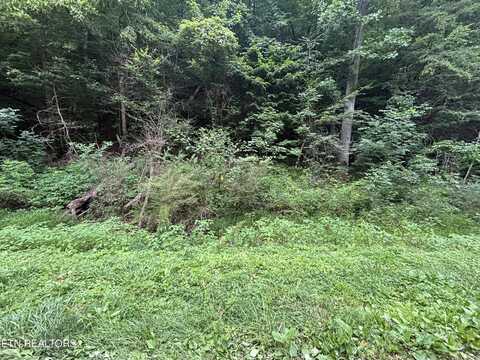 Ruritan Rd, Harriman, TN 37748