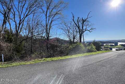 Lot 356r Larayne Hollow Rd, Sharps Chapel, TN 37866