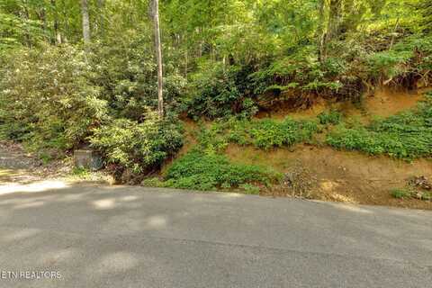 N Baden Drive, Gatlinburg, TN 37738