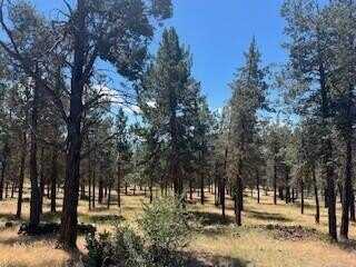 Crossbill Drive, Klamath Falls, OR 97601