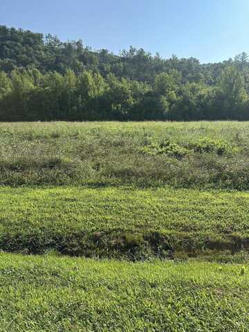 Lot 146 River Rapids Way, Del Rio, TN 37727