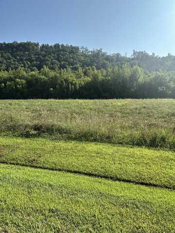 Lot 145 River Rapids Way, Del Rio, TN 37727